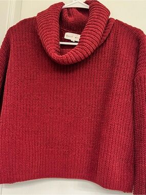 Hazel Moon Red Cropped Turtleneck Chunky Knit Sweater